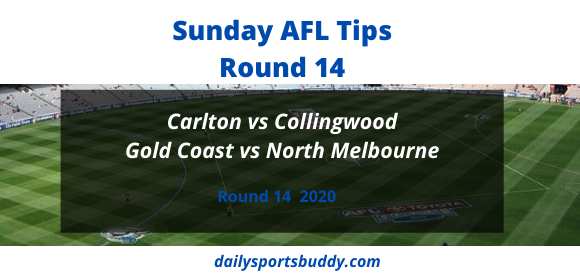 AFL Sunday Tips Round 14