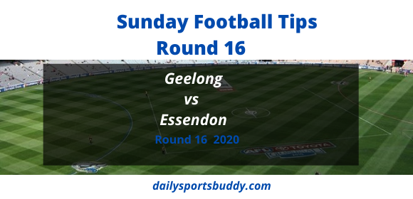 Geelong vs Essendon Round 16